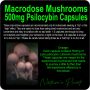 Macrodose Mushrooms 500mg product image and information