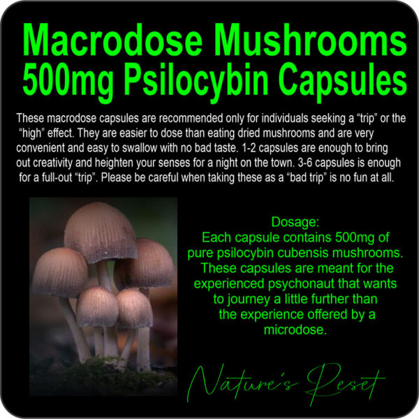 Macrodose Mushrooms 500mg product image and information