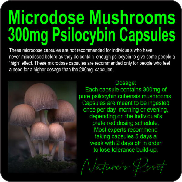 Microdose Mushrooms 300mg product image and information